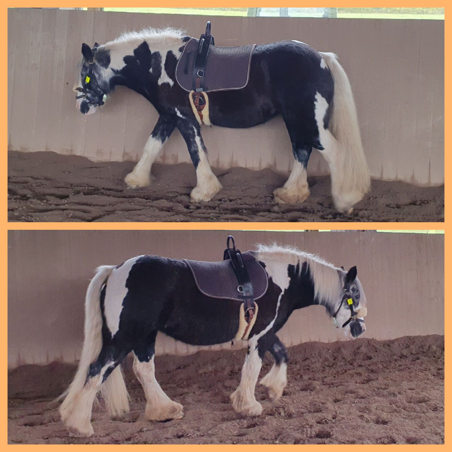 2023 11 November 594